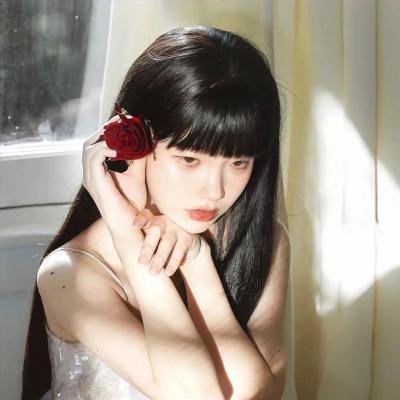 琼楼梦
